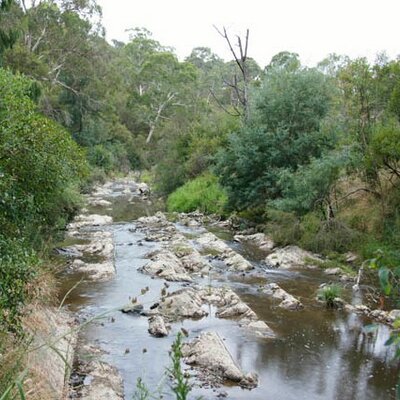 Profile Picture of Michael Hwang (@EarthcareVicTas) on Twitter