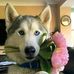 Profile Picture of Roger Tinta (@roger.tinta.311) on Facebook