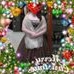 Profile Picture of Shirley Tuttle (@shirley.tuttle.167) on Facebook