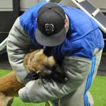 Profile Picture of Owner Of BAK9A LLC. (@steve_bak9a) on Instagram