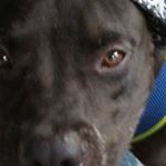 Profile Picture of plucsta (@cornelius.howard.81) on Instagram