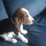 Profile Picture of Mike Poole (@mikepoole13) on Instagram