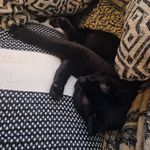 Julia Hillebrand - Instagram Profile Picture of Julia Hillebrand (@ju.liahille) on Instagram