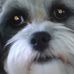 Profile Picture of Gloria M. Heilman (@gloria.heilman) on Facebook