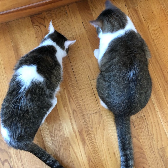 Jane Vitro - Poshmark Profile Picture of Jane Vitro (@jvitrosky) on Poshmark