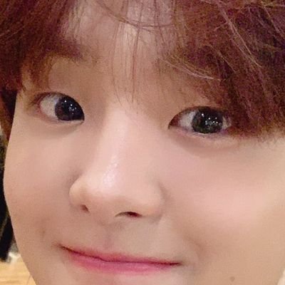 Profile Picture of ✦meow | ARAW NG MGA TINAPAY🎉 (@meowustan) on Twitter