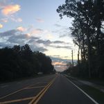 Profile Picture of Derek Kovacs (@derekkovacs) on Instagram