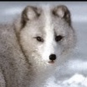 Profile Picture of Kacper Slomczewski (@kacperslomczewski5303) on Youtube