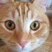 Profile Picture of Edith Uthdinger (@Edith-Uthdinger) on Facebook