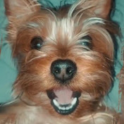 Profile Picture of @GencyEmer86 - YT-Tiktok- (FB:Nathan Sizemore) (@gencyemer86) on Youtube