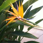 Profile Picture of Janet Winnick Nelson (@janet.w.nelson.50) on Facebook