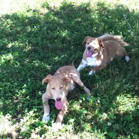 Profile Picture of Lilly Bridgers (@carlenejon7) on Pinterest