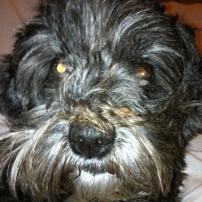 Profile Picture of Chris Bayliss (@chrisbayliss2) on Twitter