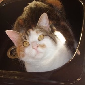 Jennifer D - Myspace Profile Picture of Jennifer D (@kunie-enoki) on Myspace