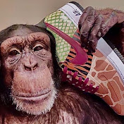 Mitchell McCarter - Youtube Profile Picture of Mitchell McCarter (@mitchellmccarter6194) on Youtube