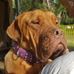 Profile Picture of Rod Stapleton (@Rod-Stapleton) on Facebook