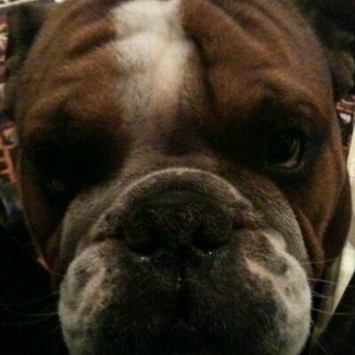Profile Picture of Carlos Smart (@CiprianoSmart) on Twitter
