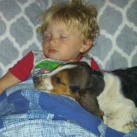 Profile Picture of Dawn Haney (@dawn-haney-6) on Quora