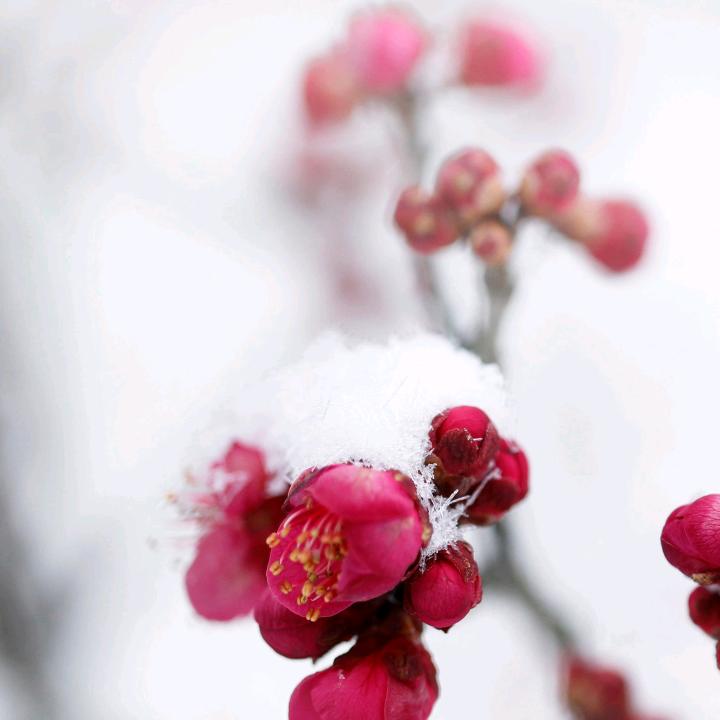 Profile Picture of Alisa Liebig (@alisalieb) on Tiktok