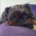 Profile Picture of James Knaggs (@jakknaggs) on Instagram