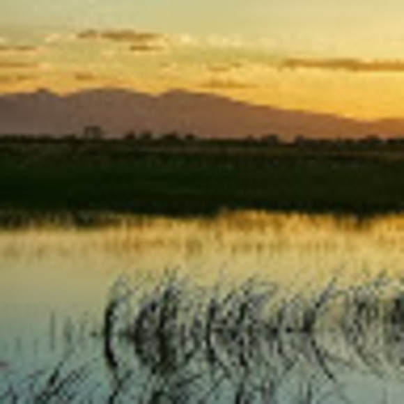 Profile Picture of Salt,e David (@daviskerwin) on Poshmark