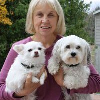 Profile Picture of Sharon Howard Mayo (@pinetreedogs) on Pinterest