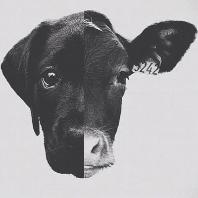 Profile Picture of Claudio Lopez (@Pids5280) on Twitter