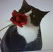 Profile Picture of Wanda Black (@wanda.black.3367) on Facebook