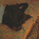 Profile Picture of Kim Lombardo (@kim.lombardo.142) on Instagram