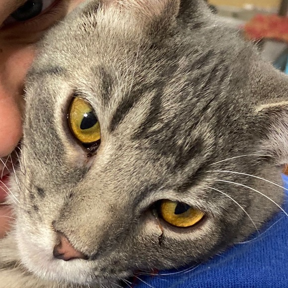 Profile Picture of Brianna Adams (@adamscb07) on Poshmark