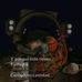 Profile Picture of Ernest Tobar (@ernest.tobar.370) on Facebook