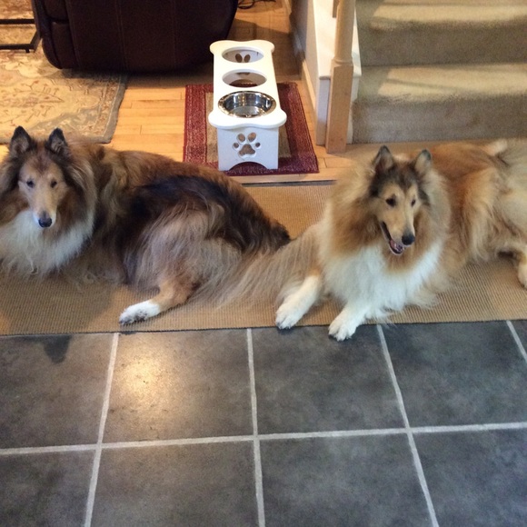 Profile Picture of Karrin Rossberg (@karrinrossberg) on Poshmark