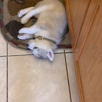 Profile Picture of Ariel Thornton (@ariel-thornton-9) on Quora