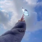 Profile Picture of Sewar Shaheen (@sewar.shaheen.444074) on Facebook