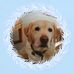 Profile Picture of Ryan Chisholm (@ryan.chisholm.1612) on Facebook