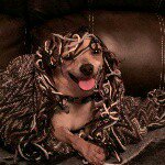 Profile Picture of Kyle Kirkman (@kyle.kirkman) on Instagram