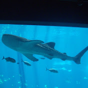 Profile Picture of Carl Hall (@carlhall3909) on Youtube