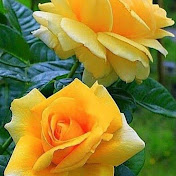 Profile Picture of William Spell (@wtspell) on Youtube