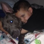Profile Picture of Nemo & Michael (@nemo_thebluebullyandhisboy) on Instagram