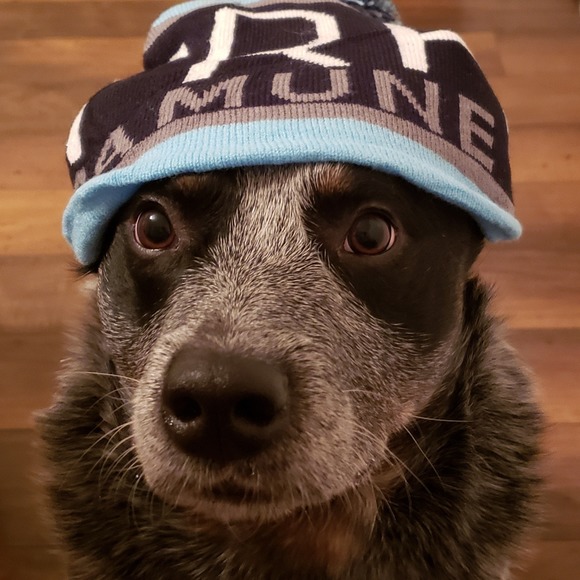 Profile Picture of Becca Manninen (@beccamanninen) on Poshmark