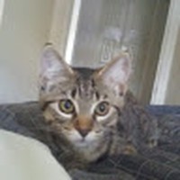 Profile Picture of Corli Dee-anne (@corli-dee-anne) on Quora