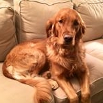 Profile Picture of Caitlin Gustafson (@kylecait92) on Instagram