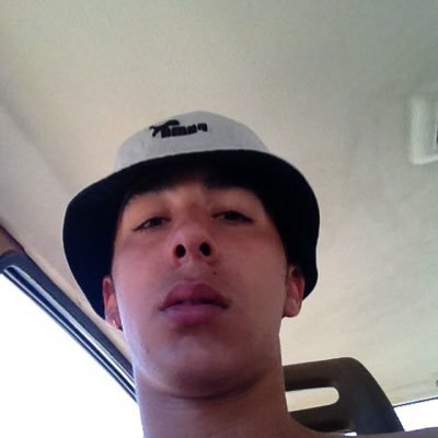 Profile Picture of Eli Caplan (@treelii) on Twitter