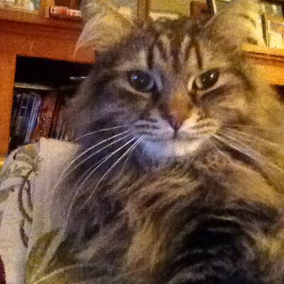 Profile Picture of Jim Milewski (@@18jimbomx) on Twitter