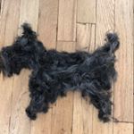 Profile Picture of Brindle Scottie🐾 (@scottie.jp) on Instagram