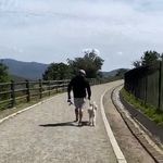 Profile Picture of Tim Stuber (@timinsd) on Instagram