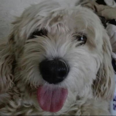 Profile Picture of Jorge Huitrón (@JorgeHuitrn3) on Twitter