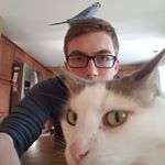 Profile Picture of David Gerding (@spicyhamsandwich) on Instagram