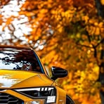 Profile Picture of Jessy Tush (@jessy.tush.5) on Facebook