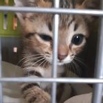 Profile Picture of robin (@robin.parker11) on Instagram